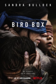 bird box.jpg