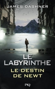 le-labyrinthe-le-destin-de-newt-1469801.jpg